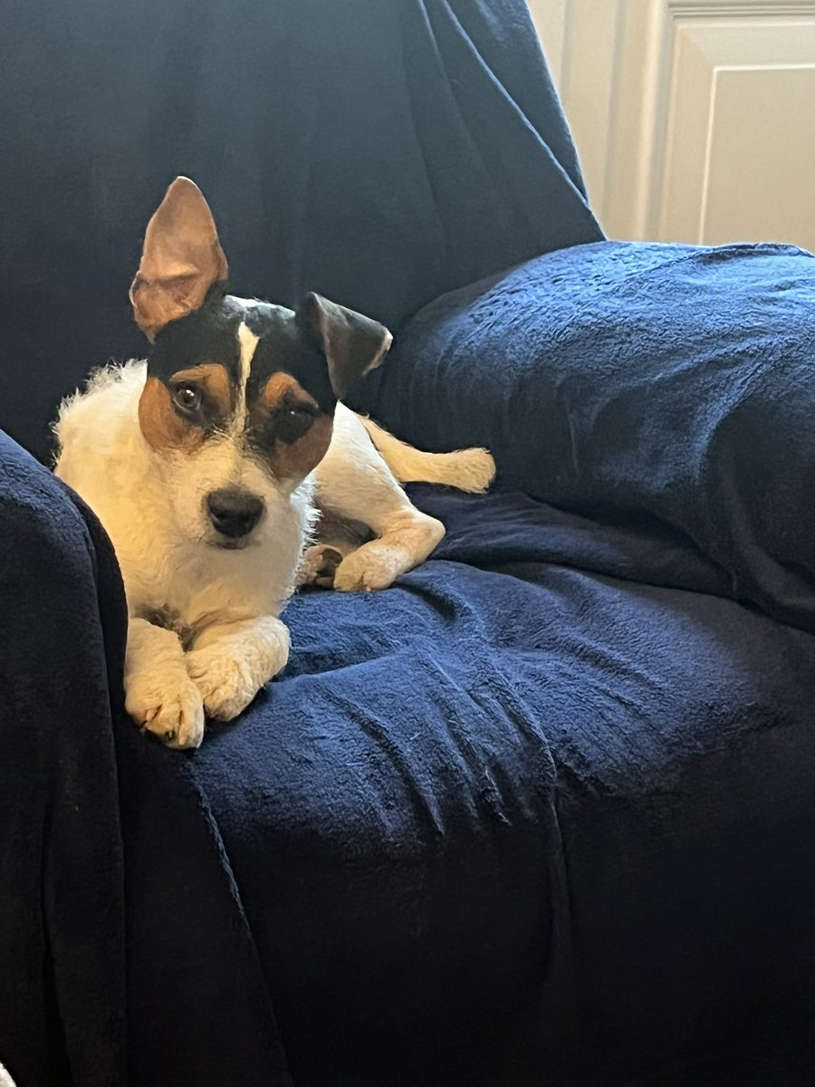devongeoff67's tweet photo. Rix listening but only on one side https://t.co/RhTabVtjaX