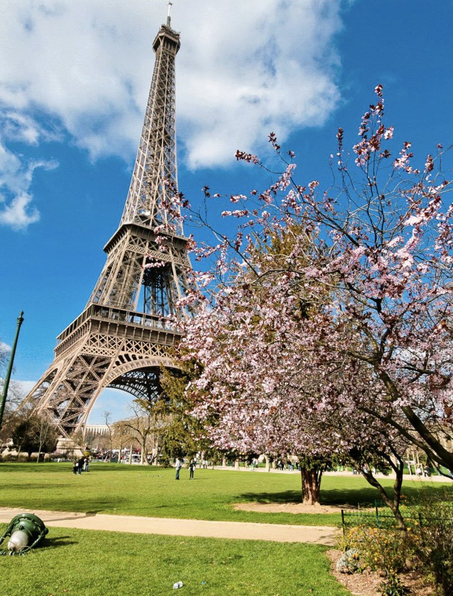 Awardmagic tweet media