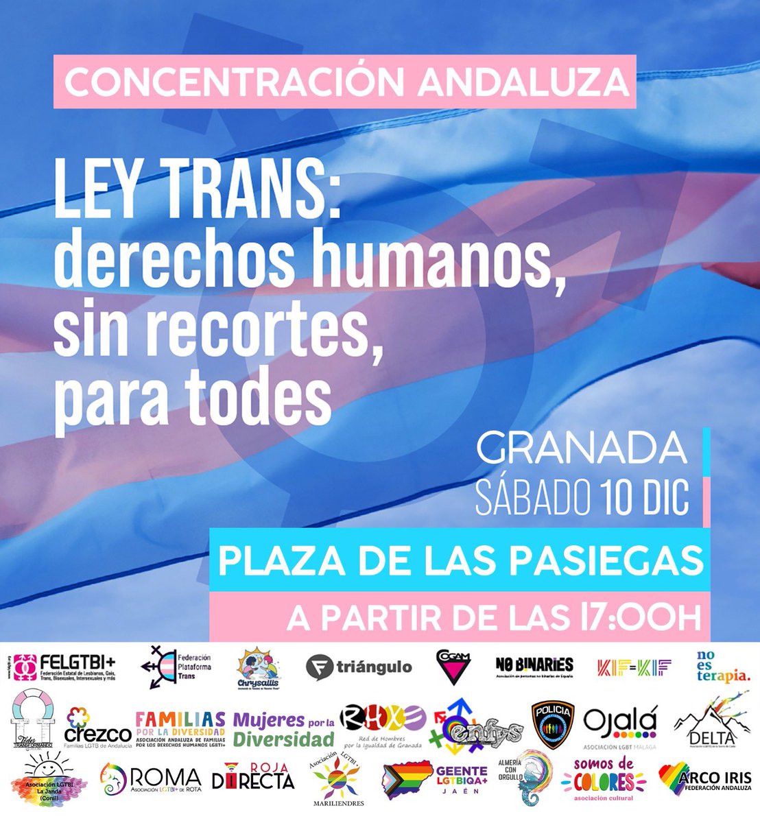 Más de una veintena de entidades se unen a Chrysallis Andalucía en la concentración andaluza que tendrá lugar en Granada,el día10de diciembre, a partir de las 17 hr.
Os esperamos en la Plaza de las Pasiegas para gritar fuerte que nuestra infancia y juventud trans* necesita DDHH