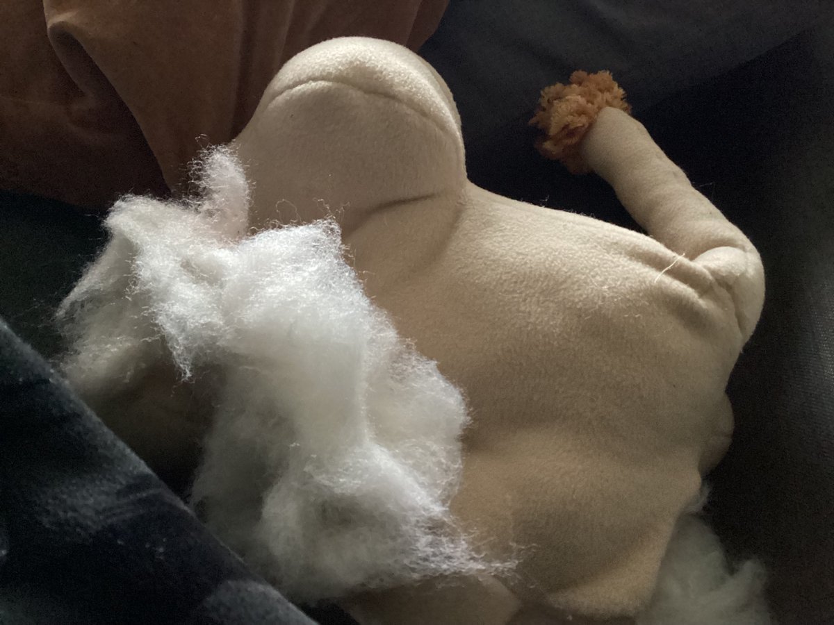 anita_boyle1's tweet photo. Another fantastic 'Ancient Rome' project from 1st year @IENewparkSchool #Juniorcycle #history student. A lion plush toy made from scratch. Amazing creativity and innovation 👏👏
#ancientrome #colosseum #jchist #edchatie #linkinglearnig #teachingandlearning #activemethodologies https://t.co/8SnS6XGM2l