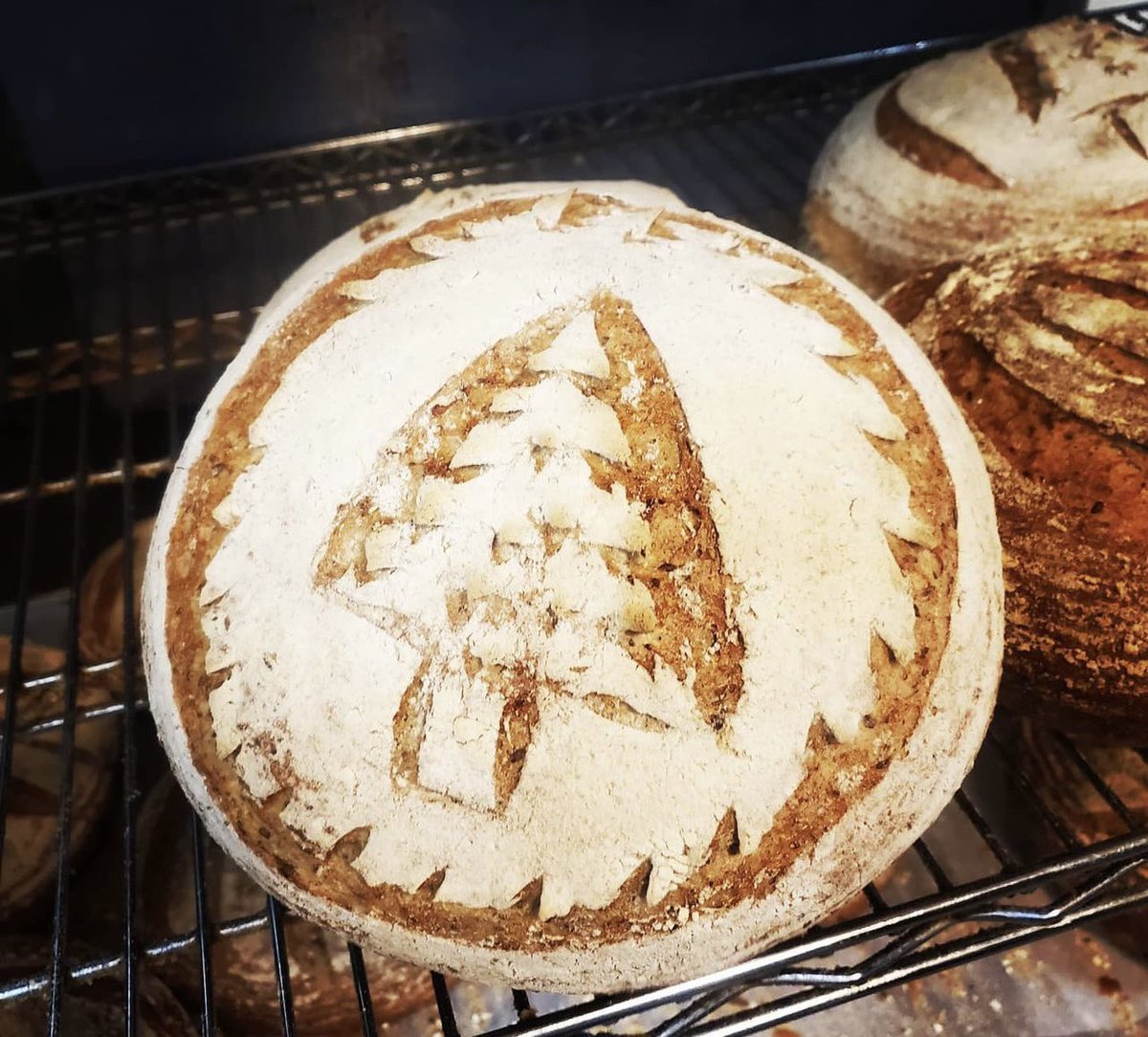 manna_bakery's tweet photo. What is your favourite Manna Bread?
Try Manna’s Natural Sour Dough 😋
#naturalsourdough #bread #breadbaking #breadmaking #breadbosses #breadlover #sourdough #sourdoughbread #manna #mannabakery #yyt #stjohns #stjohnsnl #newfoundland #newfoundlandandlabrador #newfoundlander https://t.co/GcaHnvWms6