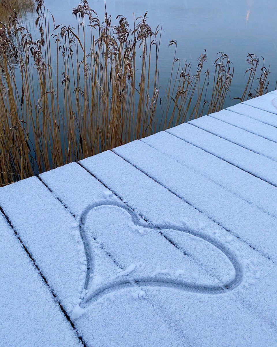 SSoitula's tweet photo. Maailman paras maa elää ja unelmoida💙🤍💙 Onnea itsenäinen 105-vuotias Suomi 🇫🇮👏🏻👏🏻

#itsenäisyyspäivä #IndependenceDay https://t.co/inFfxAg5OS