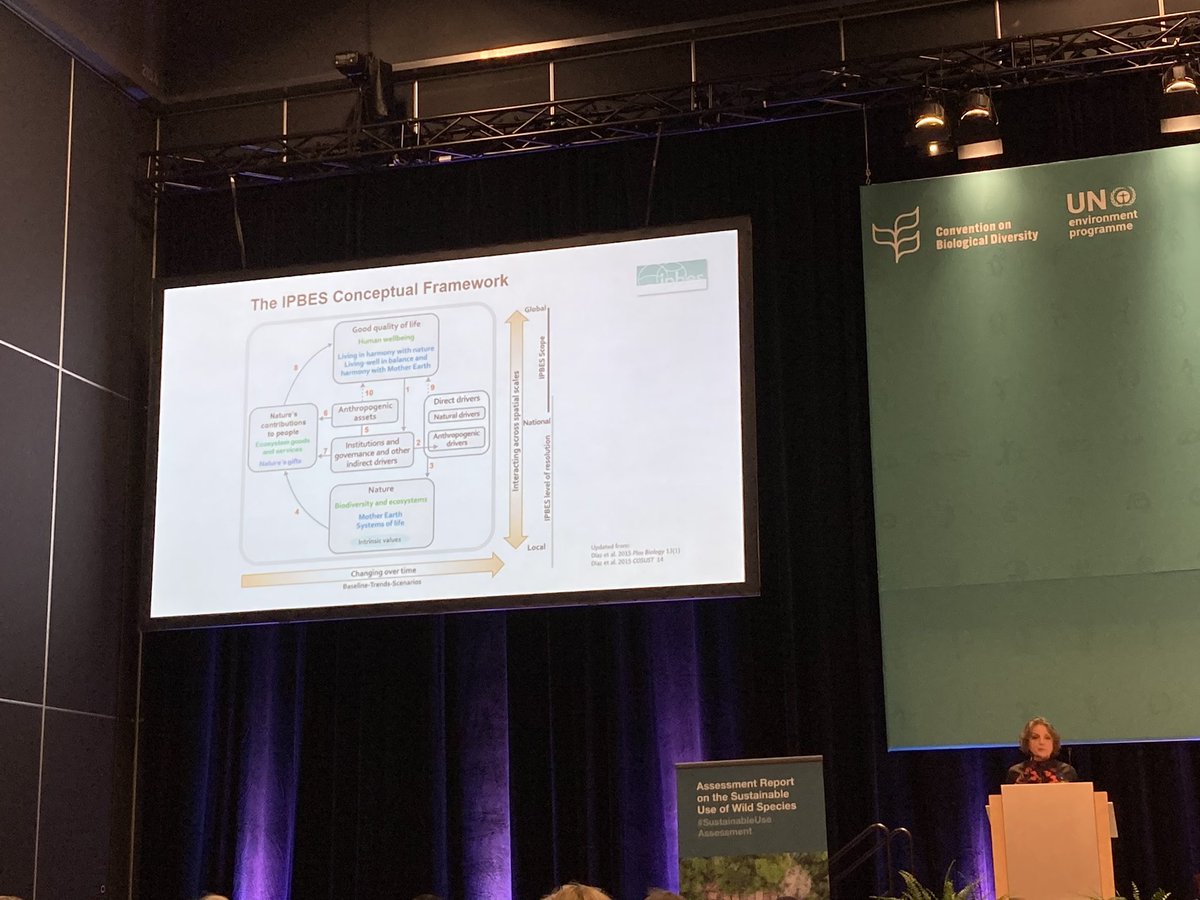 Helen Roy tweet media