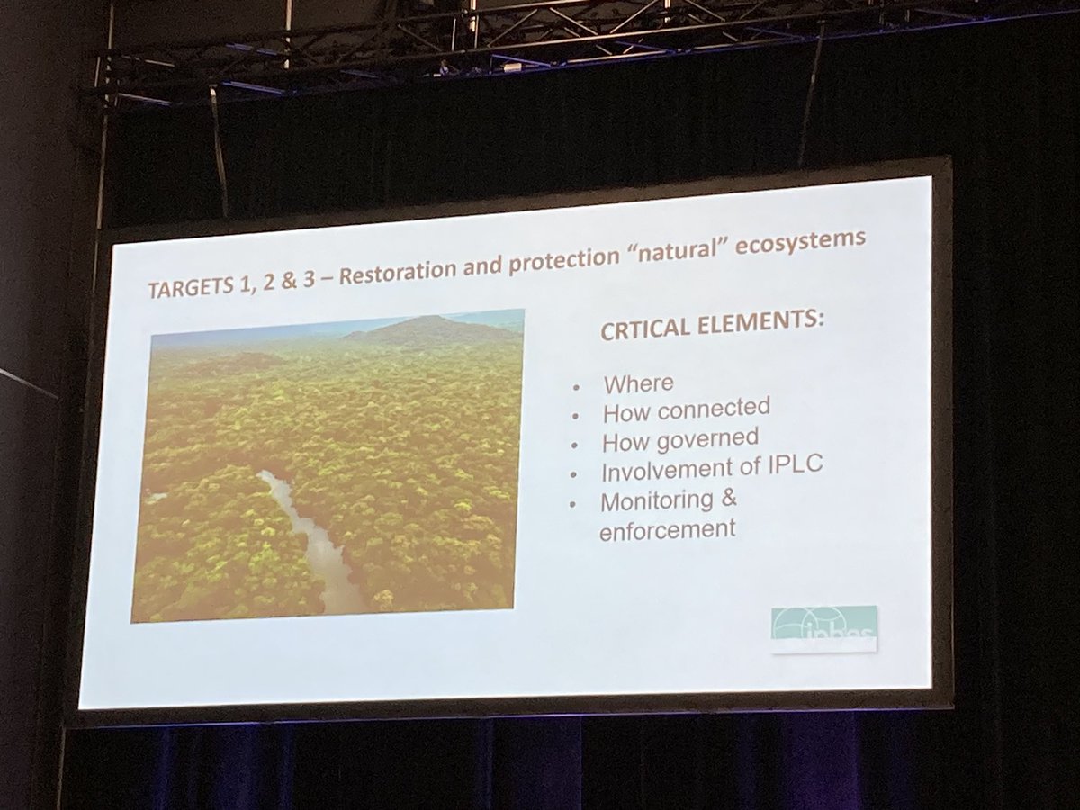 Helen Roy tweet media