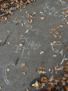 Prospect Vale Primary School tweet media