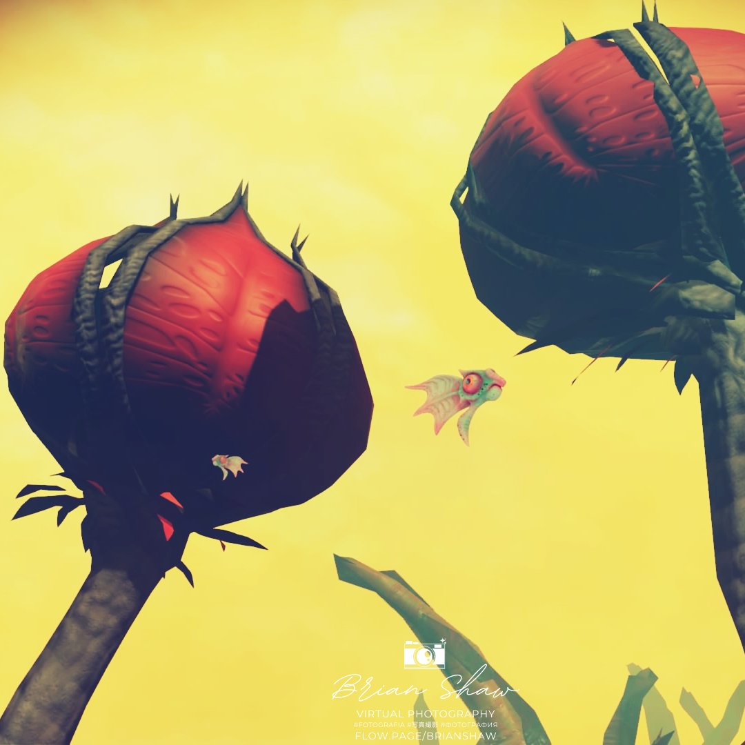 BrianShawREDX's tweet photo. 🎮No Man's Sky #NMS 
#NMSAdventures 🪐 
#ノーマンズスカイ 
🪐@hellogames
#WorldofVP #VPRT 
📸 #VirtualPhotography https://t.co/Vsn84T5K9a