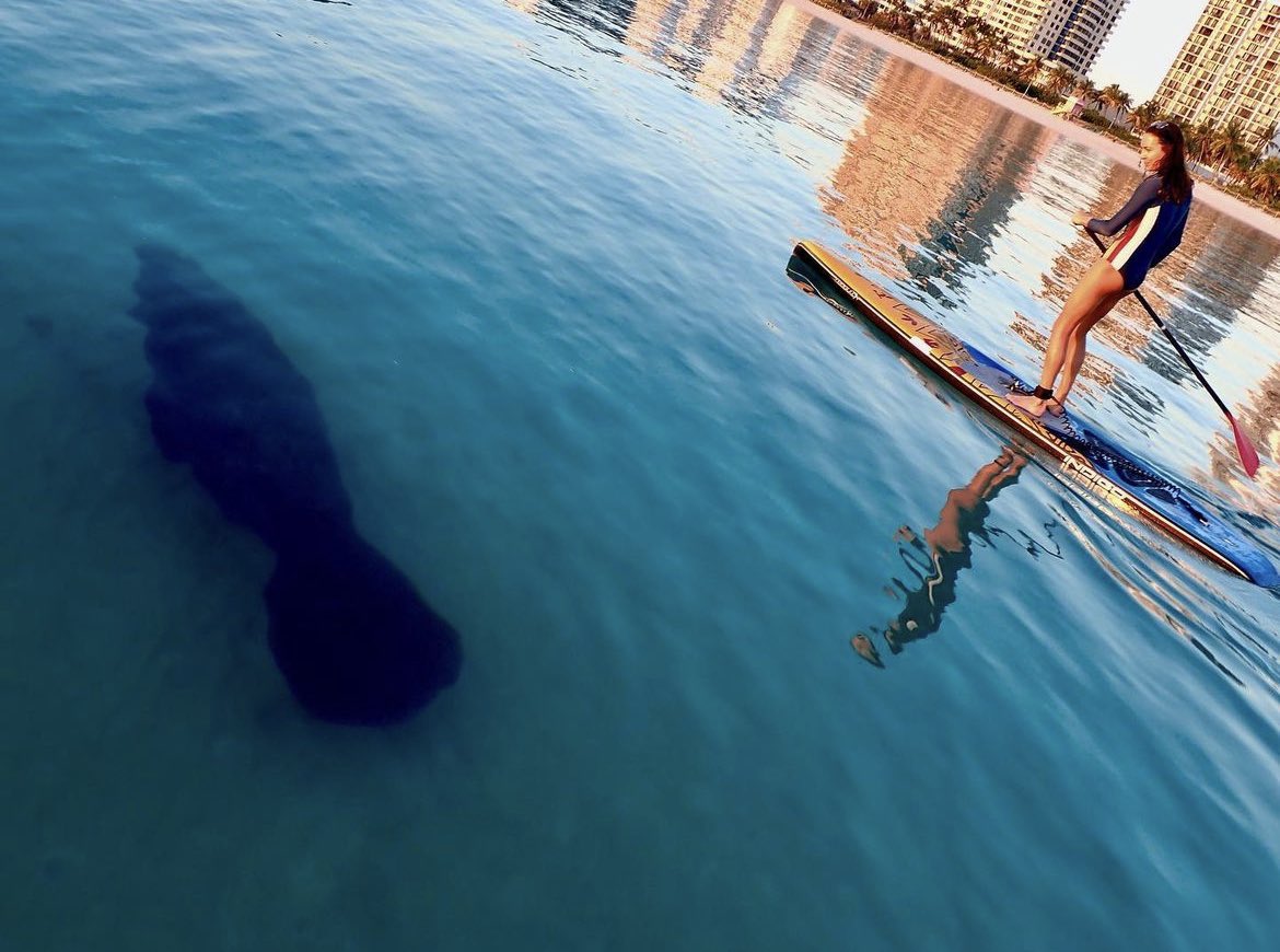 Don’t forget to join us on December 10th for our #Paddleboard #Cleanup of #BiscayneBay!

volunteer.surfrider.org/opportunities/…