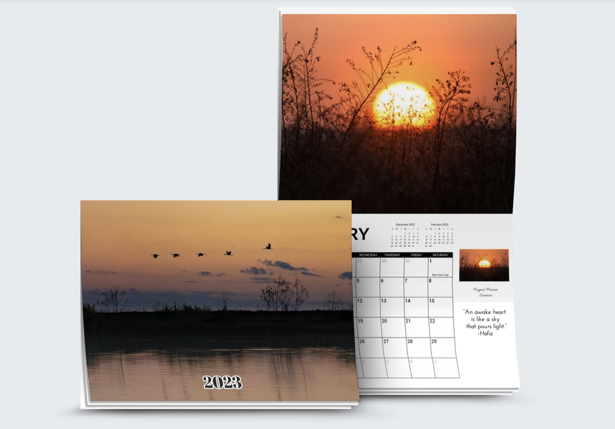 originalMCM's tweet photo. I'm excited to share that my 2023 calendars are officially ready for pre-order. 
It’s a great way to bring the refreshing feeling of the outdoors into the comfort of your home or office. 
https://t.co/SUCWJALhyw
#floridawildlife
@Gainesville @bestofgnv @gainesville_now https://t.co/4qCGFX5Vo7