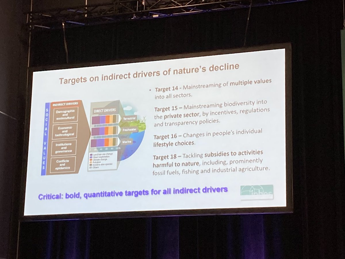 Helen Roy tweet media