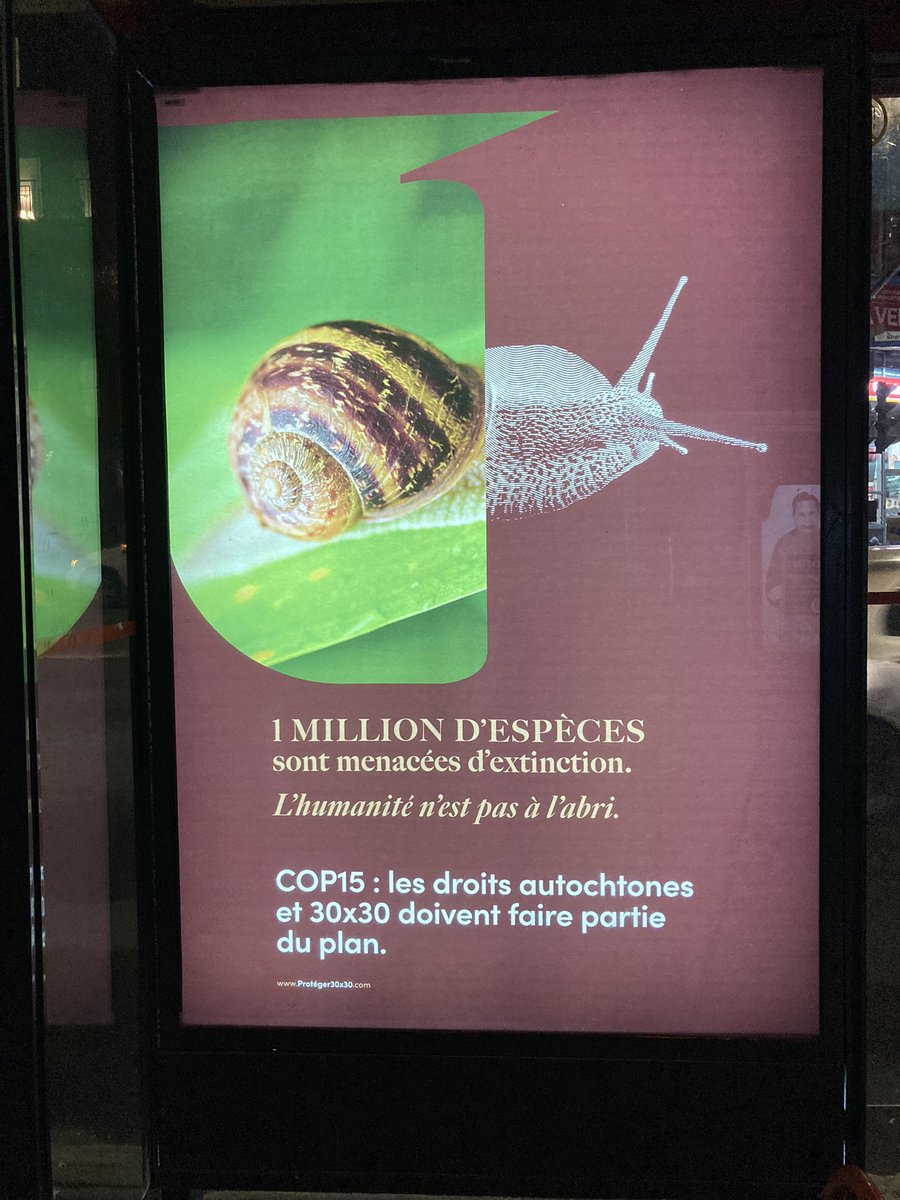 Helen Roy tweet media