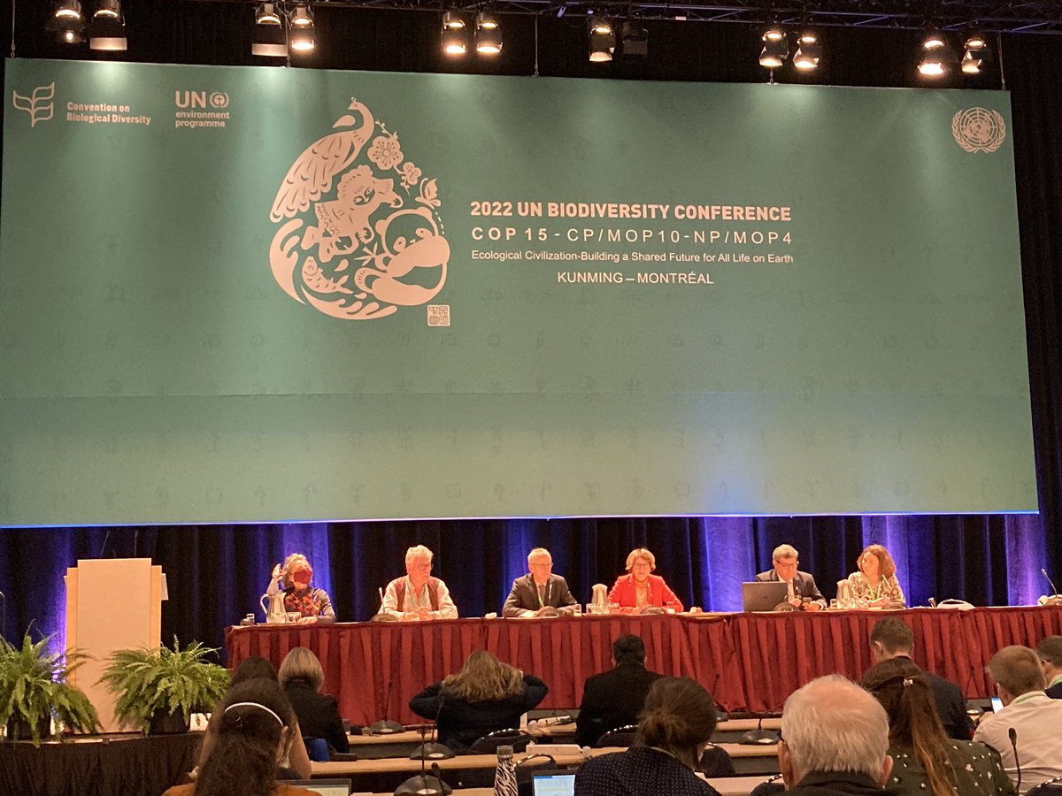 Helen Roy tweet media