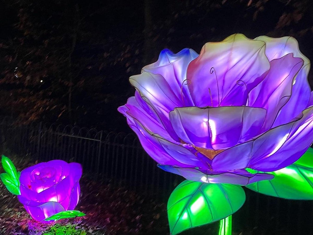 manchesteryz's tweet photo. ✨✨ Look at those Christmas Lights! ✨✨
Thank you so much to @manchestercitycouncil for donating tickets to @lightopiafestival. Our members loved walking around and looking at the beautiful lights. 🎇🎆

#2022OurYear #MYZMagic https://t.co/Zq2xIQfo4N