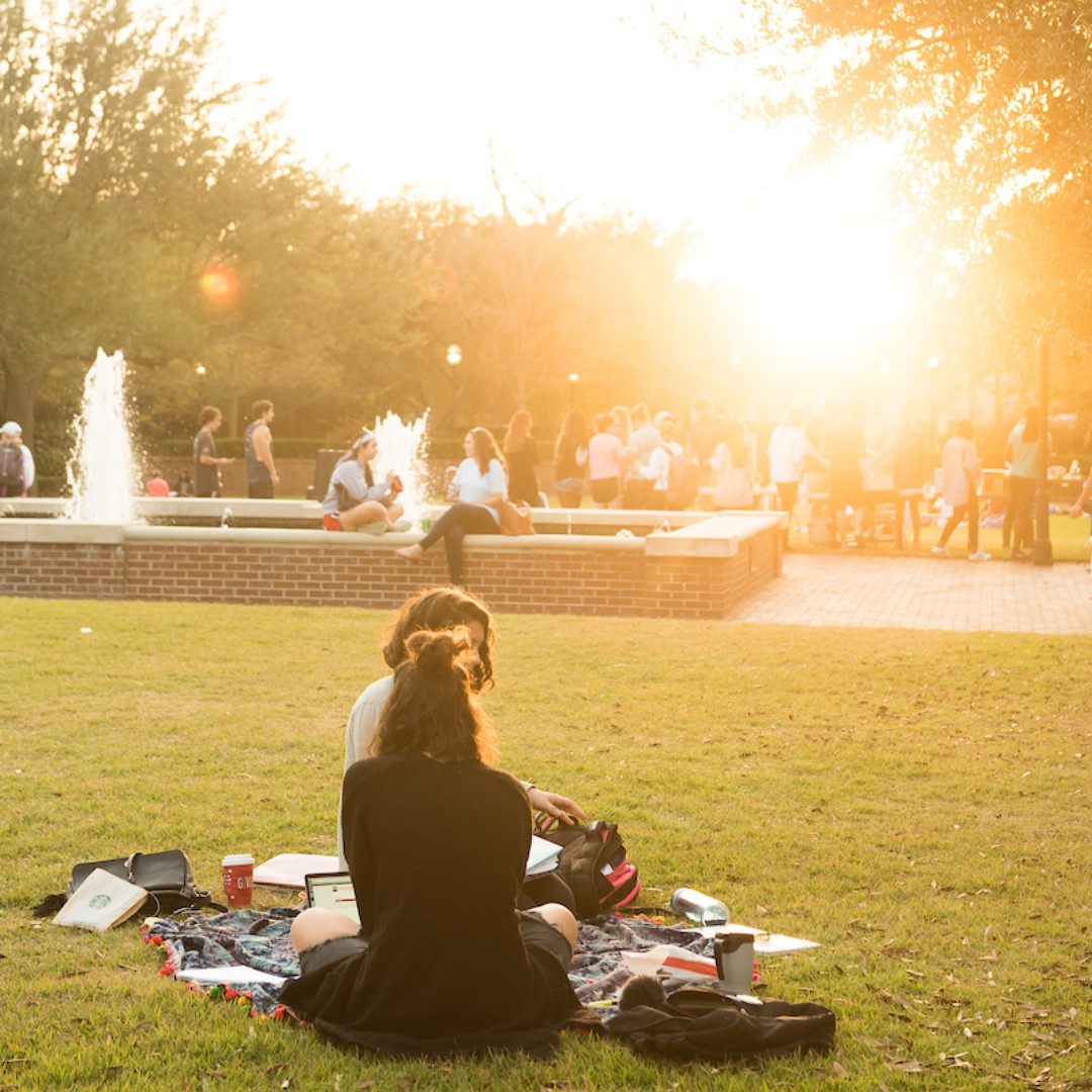 CofCAdmissions's tweet photo. Pro tip: study hard and ace those exams, Cougars! 💯🐾
#collegeofcharleston #charleston #cofc #campuslife #finalexams #chs #explorechs https://t.co/oOrEBnEgXo