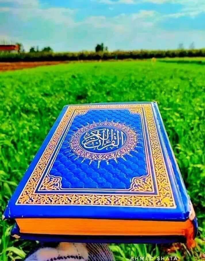 رسول الله ﷺ فرمائي:
کله چي یو بنده خپله ګناه ومني، او بیا الله تعالی ته توبه وکړي نو الله تعالی یې توبه قبلوي.!
(صحيح البخاري 4750)
<a href="/Honeyahmadzai/">Aнмα∂zαι🌻</a> ❤️