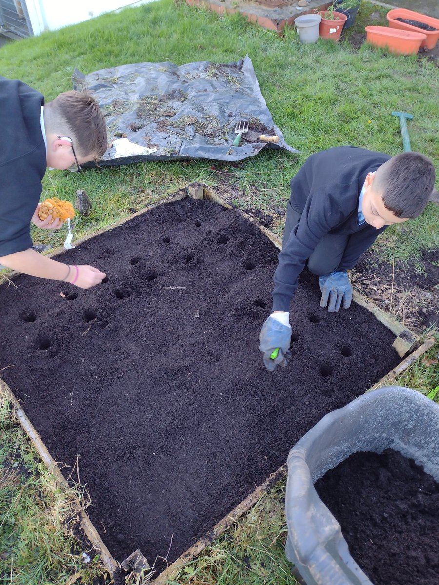 Gardening club in the sunshine today. It was lovely to welcome a new member. We planted more onions, moved compost and protected the onion and garlic. #gardeningschool #sustainableschool