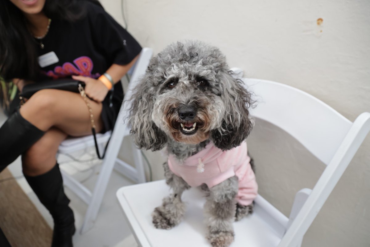 GM GM! Wondering why Fonda looked so excited at our <a href="/OnChainGood/">Blockchain for Social Good</a> event last week? Join our community network to find out more about where WXM is headed next👀 t.ly/dUc8