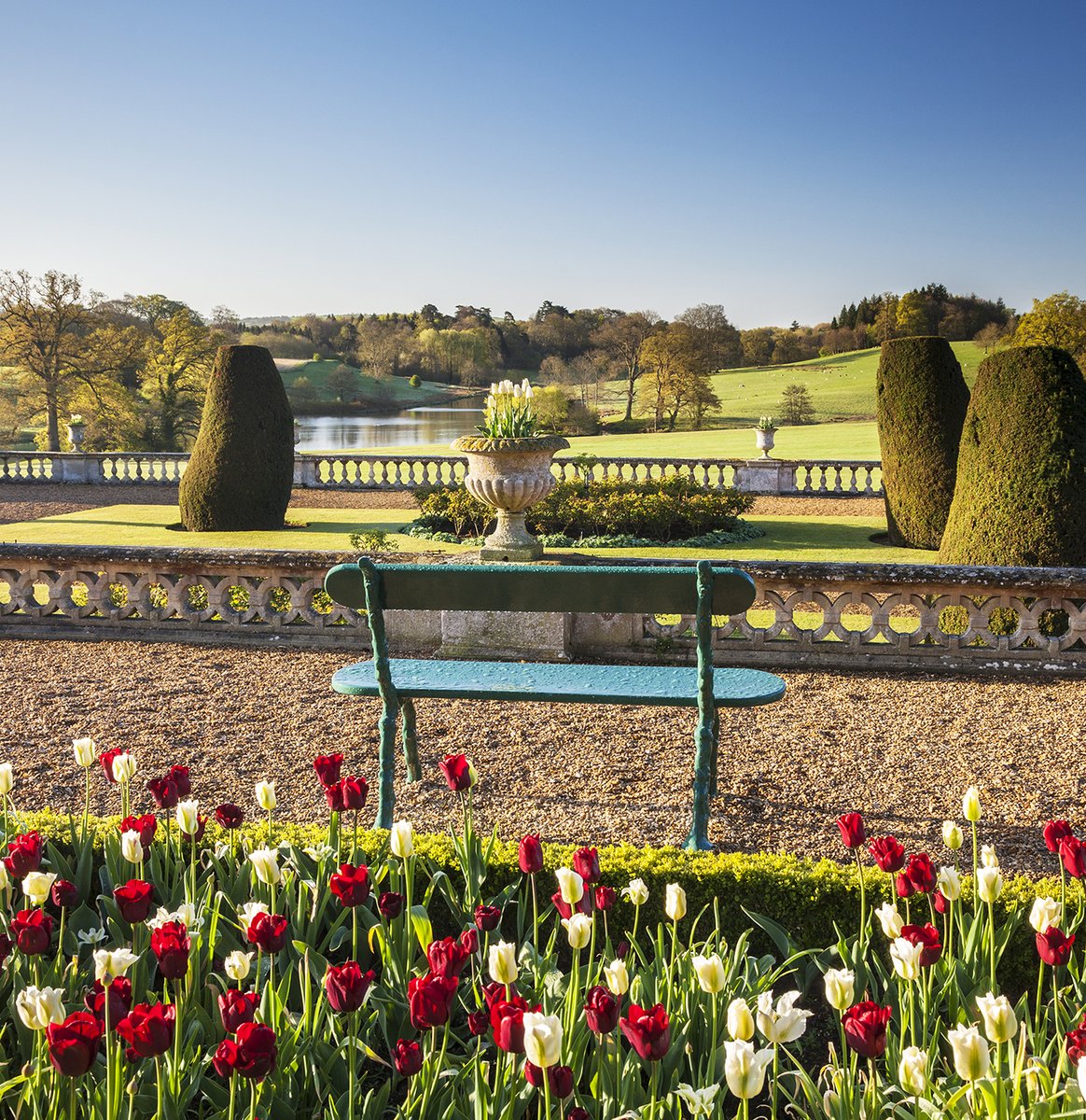 #DidYouKnow that to get ready for the 2023 Spring Season, our gardening team actually plant over 14,000 spring bulbs each year? 🌷

The tulips are always a stunning sight to see and look particularly glorious out the front of the house and overlooking Bowood Lake.