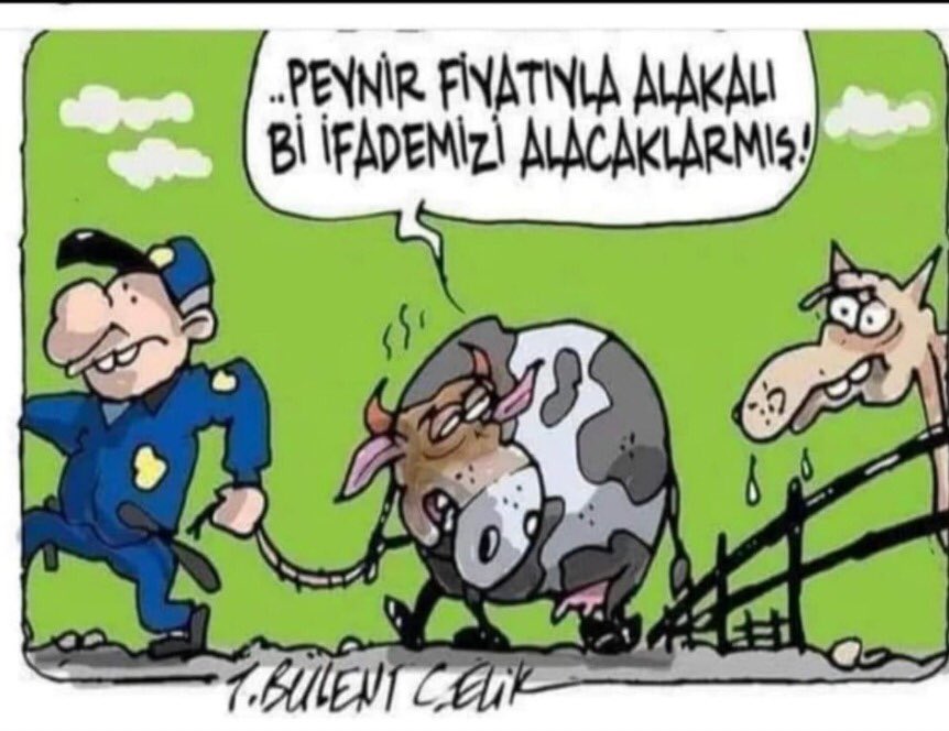 CEM TOKER🐬 (@tokcem) on Twitter photo 