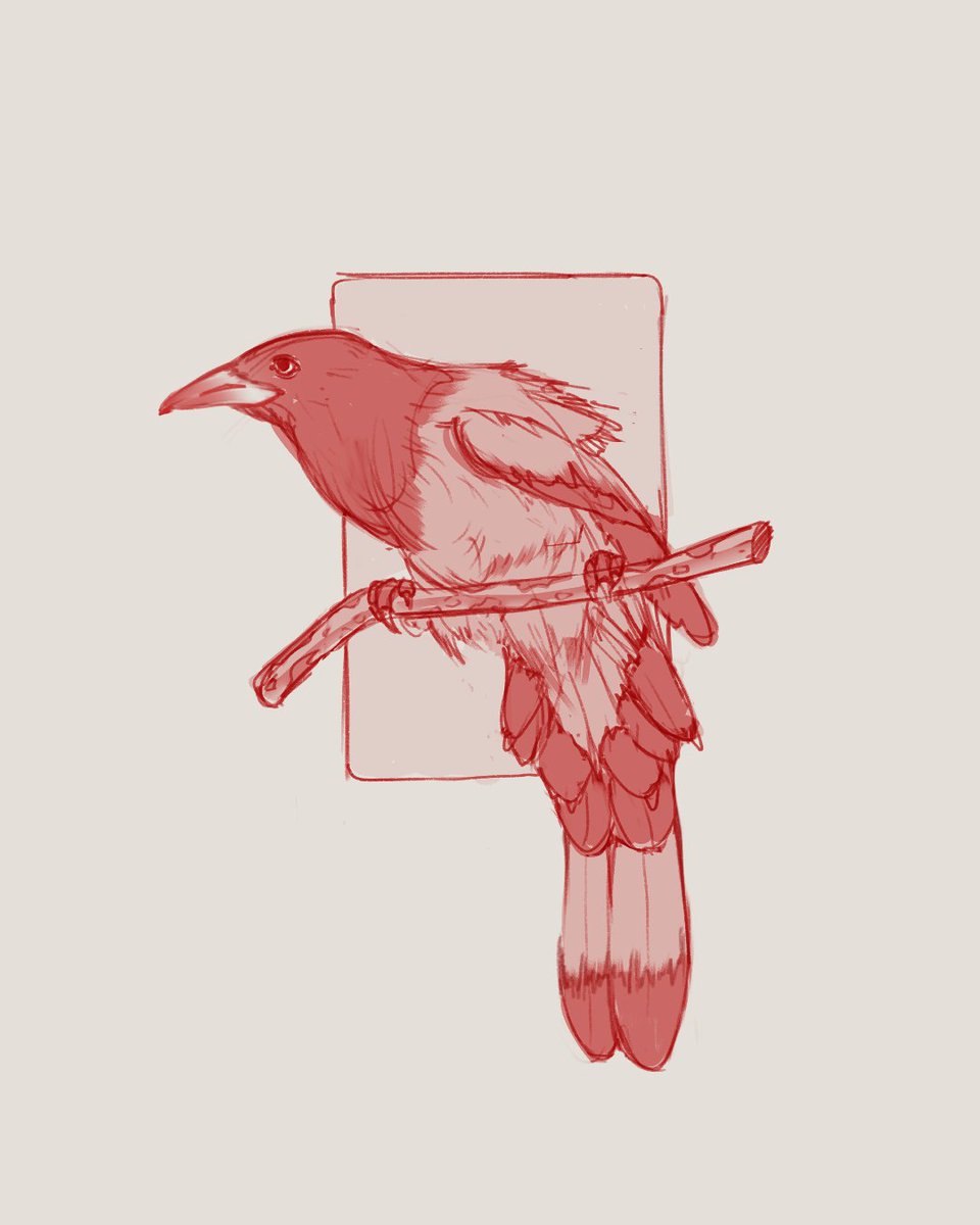 What's your favorite bird? I saw a red-winged starling for the first time a year ago. Unrelated to the sketch😅 just a quick study of pinterest.