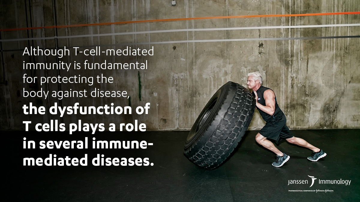 In an article for <a href="/NaturePortfolio/">Nature Portfolio</a>, Janssen’s David M. Lee, M.D., Ph.D., and Navin Rao, Ph.D., discuss the promise of new therapeutic strategies driven by scientific advancement around #Tcell function. Learn more: bit.ly/3B8CQ2X