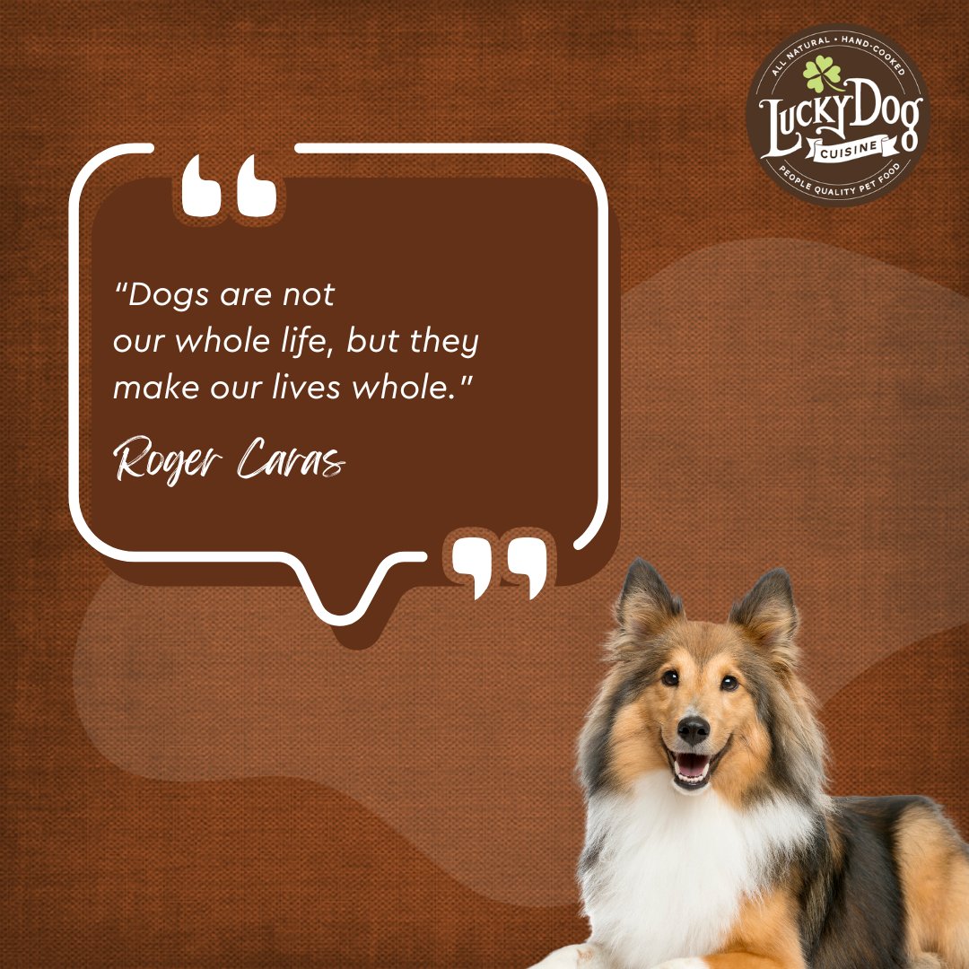 Make your pups whole with a balanced diet of healthy dog food. 😁🍖

Learn more about Lucky Dogs Cuisine today luckydogcuisine.com 

#luckydogcuisine #luckydog #dogfood #healthydogfood