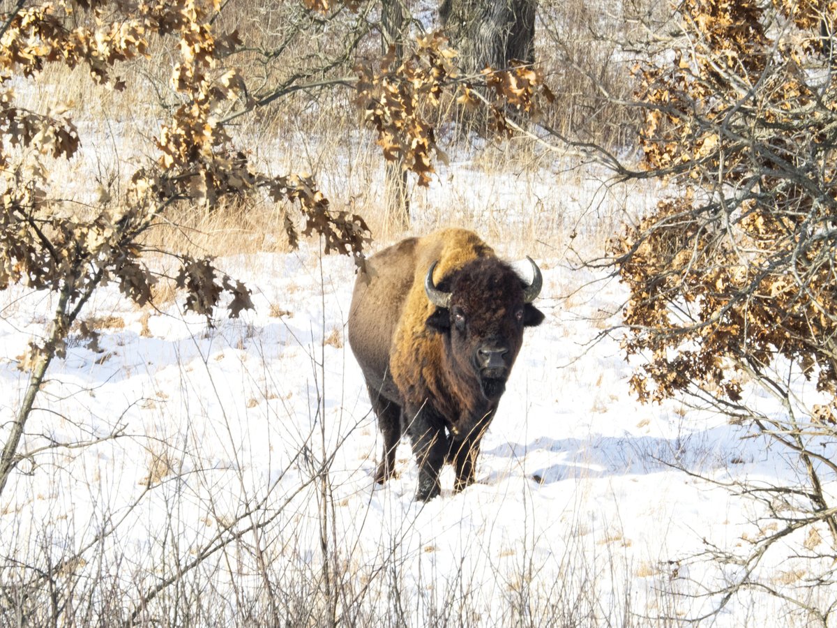 TNC in Illinois tweet media