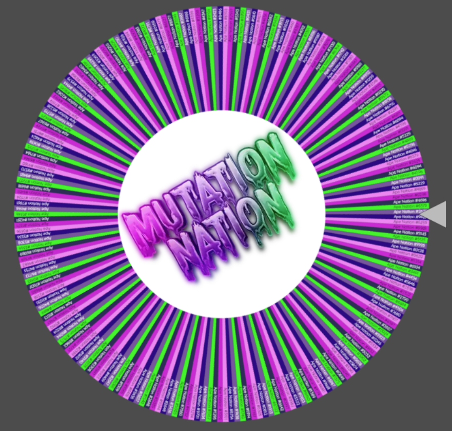 Ape_NationNFT's tweet photo. The Wheels are Ready! 2pm EST / 7PM UTC we'll be Spinning &amp; Winning!

@Ape_NationNFT November 500 ADA Canopy Club Royalty Raffle!

@Ape_NationNFT November 12 Sets of 3 Raffle!

Join us LIVE on Discord https://t.co/p4hHUfhnBo

#WEAREAPENATION https://t.co/OyMcaPvrUB