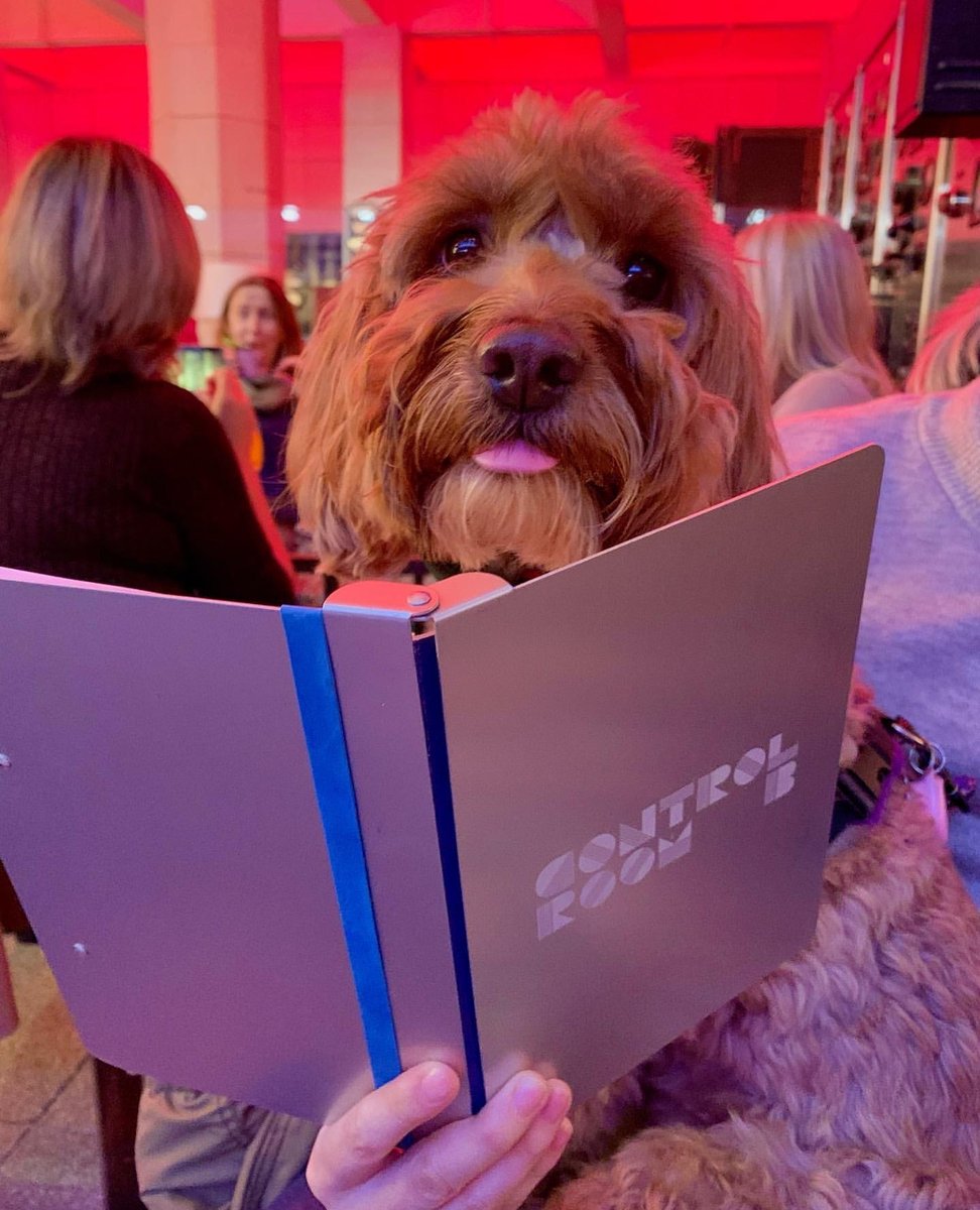 BatterseaPwrStn's tweet photo. One for me and one for my hooman, paw-lease ๐น
@lady_the_springerdoodle on Instagram ๐ท
#BatterseaPowerStation #ControlRoomB #DogFriendly #Cocktails https://t.co/x1iNWVxREB