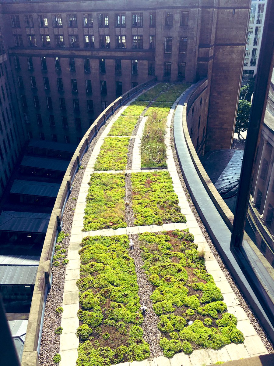 Research through the Ignition project found that installing green roofs can reduce costs by up to 6% annually due to the thermal insulation they provide 😍 This beautiful green roof is on top of Manchester Town Hall! #greenroof #energysaving
