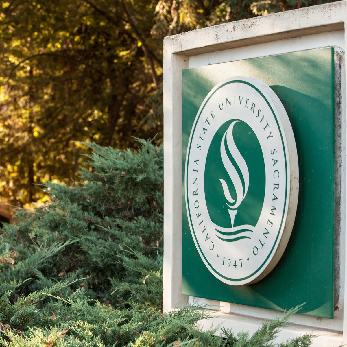SacStateCCE's tweet photo. Stay on track to graduate! #FinishInFour by taking a course in January.  Winter classes are filling up fast - the last day to register without a late fee and instructor approval is December 7.  https://t.co/SvktCryUj4
  
#FinishinFour #ThroughinTwo #SacStateCCE #SacState https://t.co/kmkRrjR2Wp