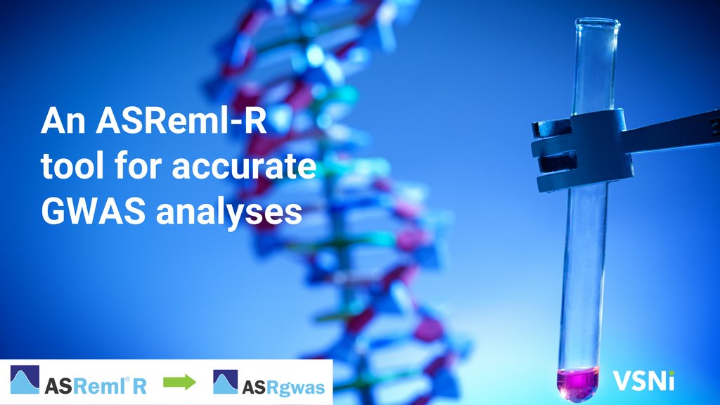vsni's tweet photo. ASRgwas helps users to run more realistic and flexible mixed models with #GWAS, leveraged by ASReml-R strengths. As an ASRgwas user, you can have confidence your GWAS analysis results will present evidence which accurately reflects the #data.
https://t.co/nLosGXC2Qj https://t.co/b2jVJ448FF