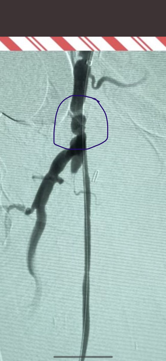 Leigh Ann O'Banion tweet media