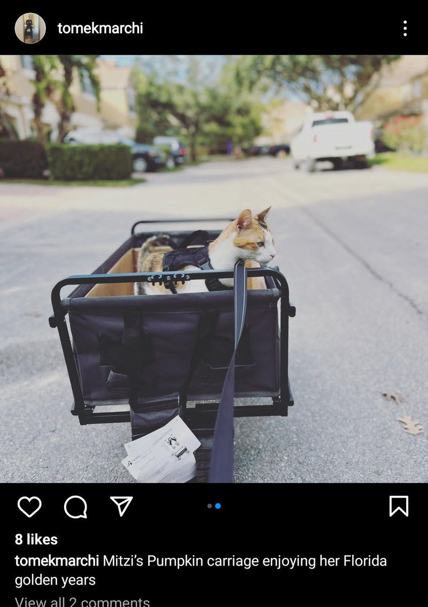 tommarchii's tweet photo. Finally, without further delay, the reveal that the loyal #Sentivate community have all been waiting for...by the end of this month, we will be releasing the revolutionary Kitty Stroller. Photo below is beta test demonstration of product. $SNTVT $VIAT https://t.co/mpOMGQvj7d