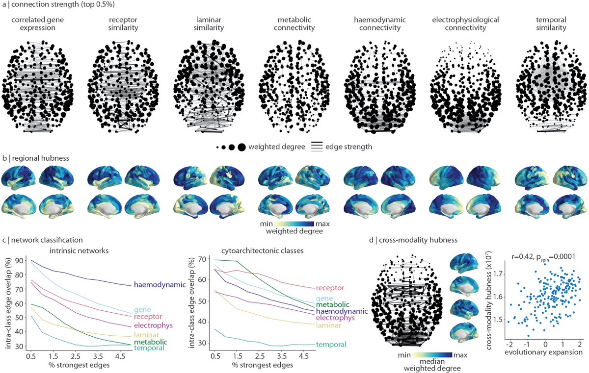 Bratislav Misic (@misicbata) on Twitter photo Multimodal, multiscale connectivity blueprints of the cerebral cortex | doi.org/10.1101/2022.1…
How many networks can we fit in a preprint? <a href="/JustineYHansen/">Justine Hansen</a> investigates ⤵️ Multimodal, multiscale connectivity blueprints of the cerebral cortex | doi.org/10.1101/2022.1…
How many networks can we fit in a preprint? <a href="/JustineYHansen/">Justine Hansen</a> investigates ⤵️