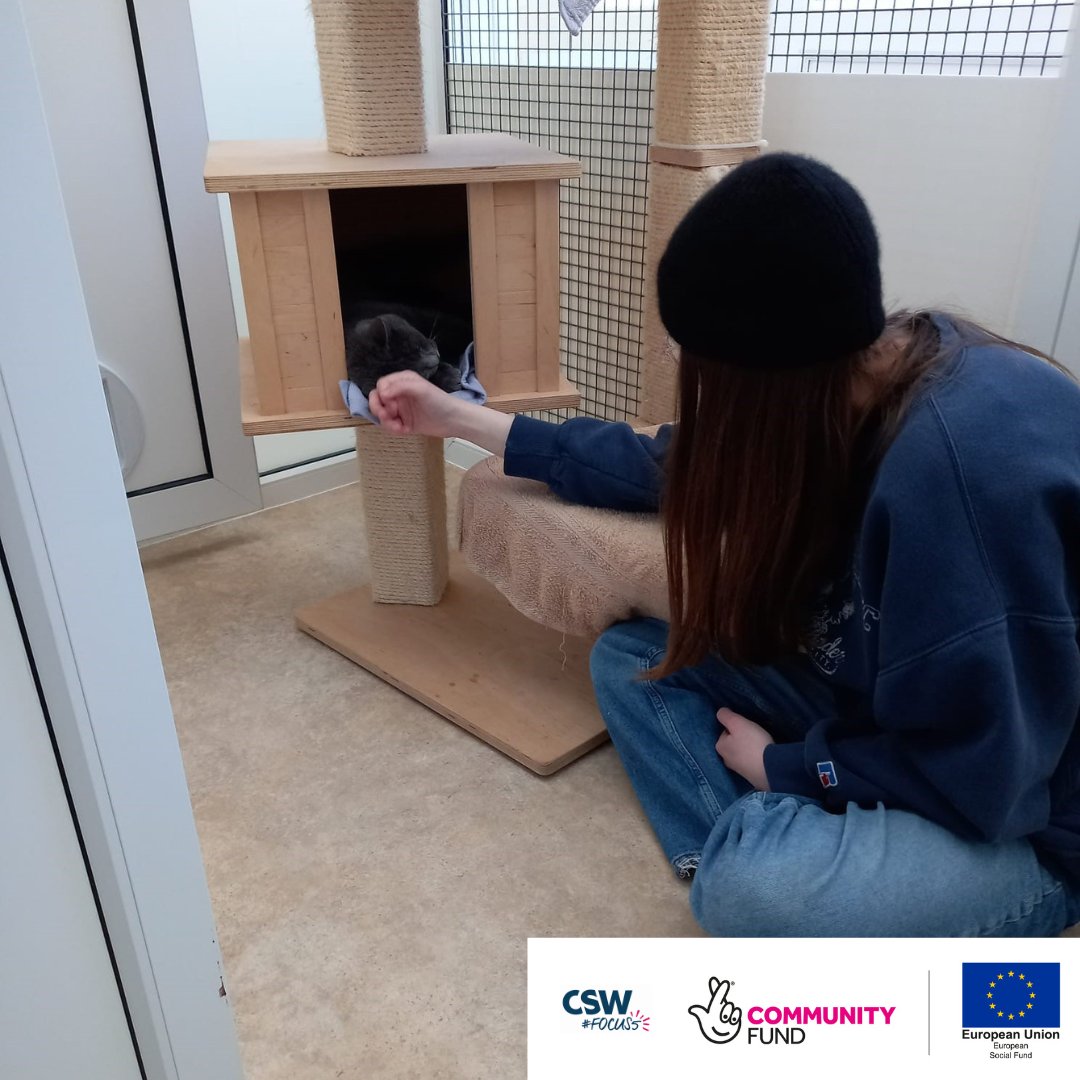 Focus5_BBO's tweet photo. This young person has undertaken some volunteering at the cat rescue, giving them valuable experience, boosting self-esteem through helping others and gaining confidence in getting out of the house! #TNLComFundESF #volunteering #positive https://t.co/4ZROsL0Tdb