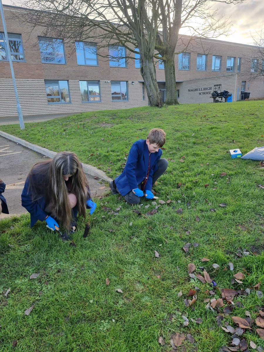 MaghullHighsch's tweet image. Year 8 students planted some hedgerows around the school site today, kindly donated by the Woodland Trust Community Tree programme @WoodlandTrust #nature #communitytrees