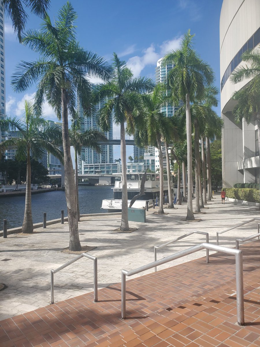 Boskey 🫀 tweet media