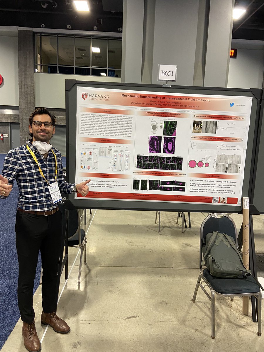 mayank_mchugh's tweet photo. My poster is up! If you fancy hearing about how epithelia might transport water across, stop by at B651. Bonus networking point if you are #zebrafish person. ππ π‘
#ASCB22 #cellbio22 @ASCBiology https://t.co/BLs5sGUQ4h
