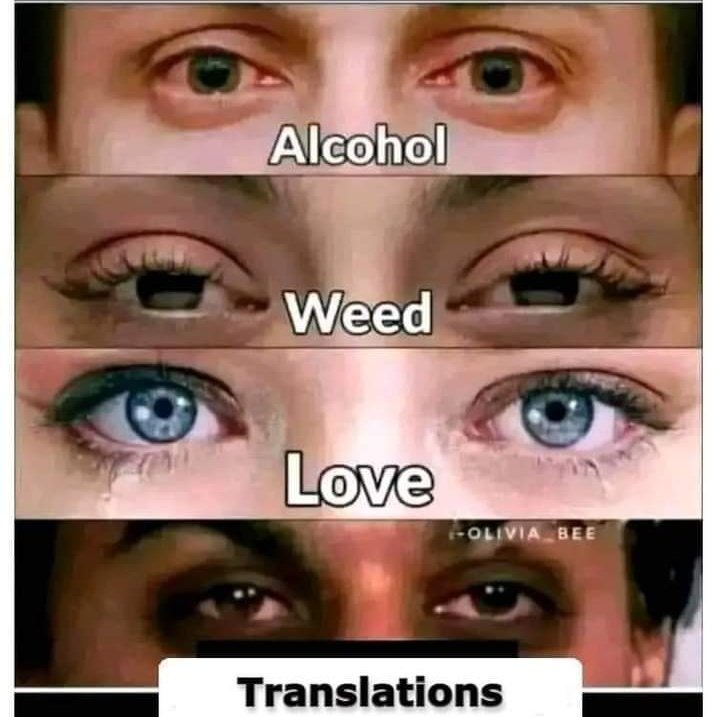 JehadFara's tweet image. الترجمة فن راقٍ وروضة تبرهك بجمالها كأنها عروس وتأخذك إلى رحاب واسعة.

كااااااات هايل المشهد يا استاذ روح نام ساعتين عشان تكمل المشروع المستعجل ده 🚶