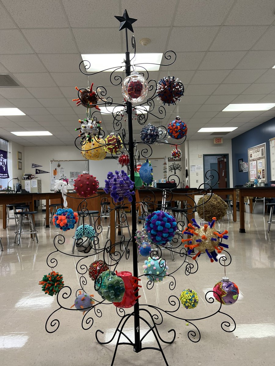 Mary Marshall tweet media