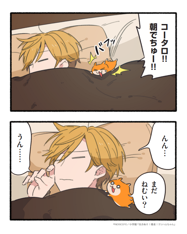 『生きぬけ!爆走!クソハムちゃん』
マンガワンにて、103話&先読み104話が公開されていました🐹よろしくお願いします!
#マンガ #クソハムちゃん
https://t.co/z7BLZegDFL 