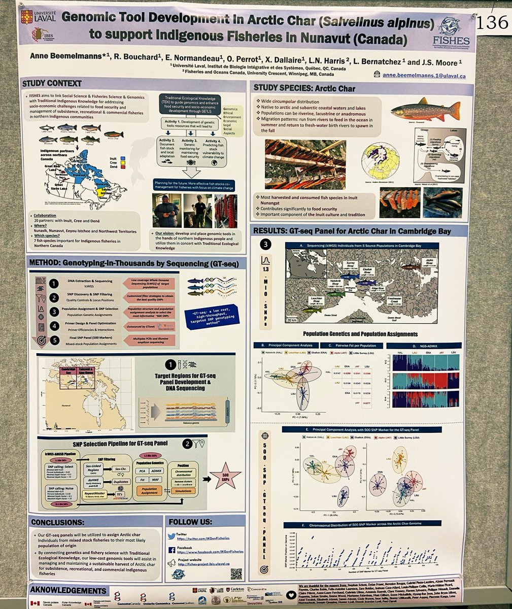 ABeemelmanns's tweet photo. My poster is up. Come check out my poster #136 if you want to learn more about our @IKGenFisheries project and #Genomictools in #Arcticchar #cambridgebay #Nunavut @ehPECS @ArcticNet #ASM2022 https://t.co/kayWmKWlGJ