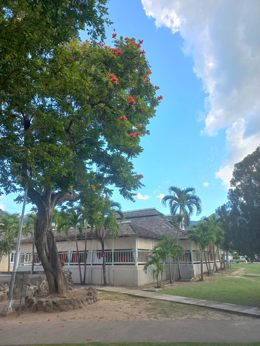 UTechJamaica's tweet photo. The trees blossom with joy at the dawn of a new season.

Lillian’s Restaurant continues to provide hands-on training that enables our students to blossom into excellent practioners within the hospitality industry.

#UTechJa
#BirthplaceofGreatness
#ExcellenceThroughKnowledge https://t.co/7ZMPmd0yii