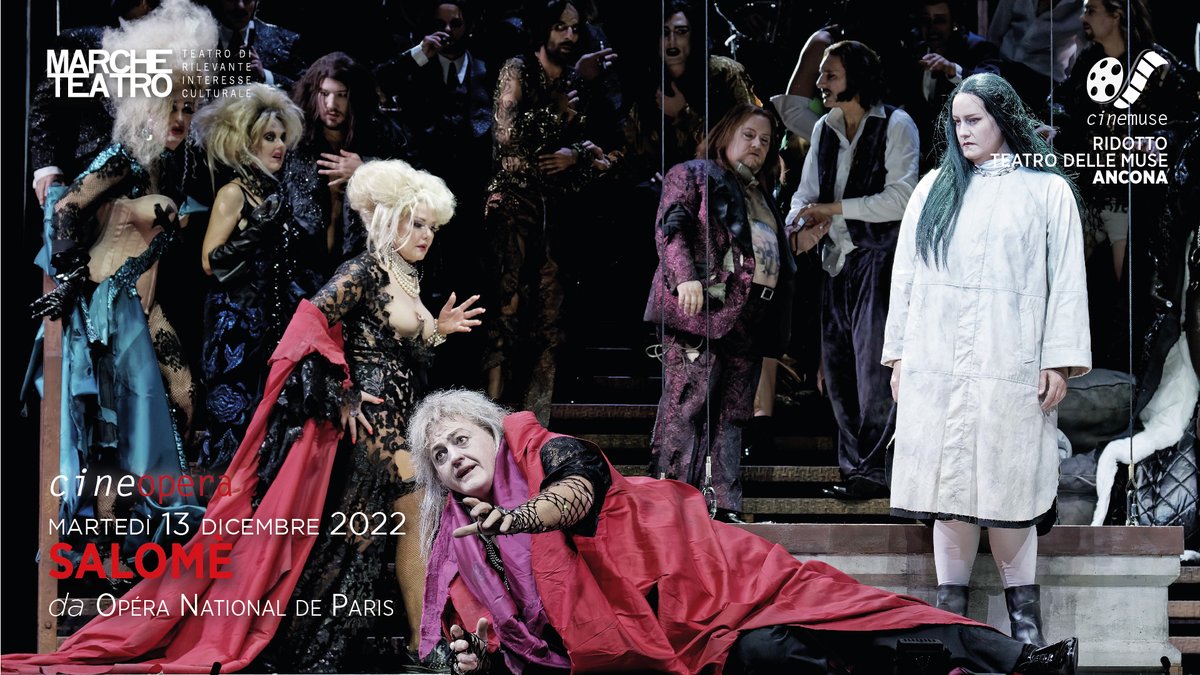 Teatro delle Muse tweet media