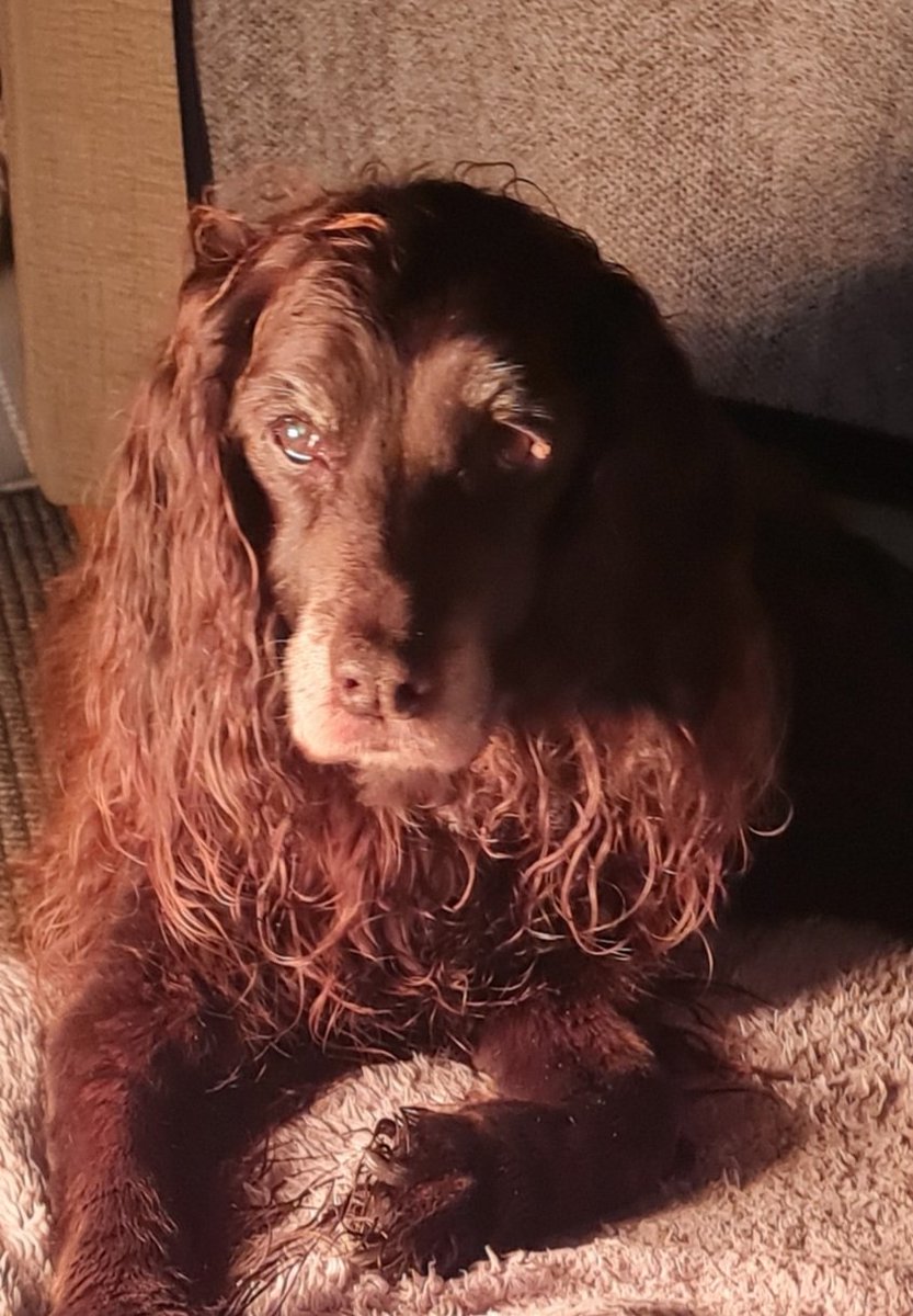 Stan Hughes 🏴󠁧󠁢󠁷󠁬󠁳󠁿 tweet media