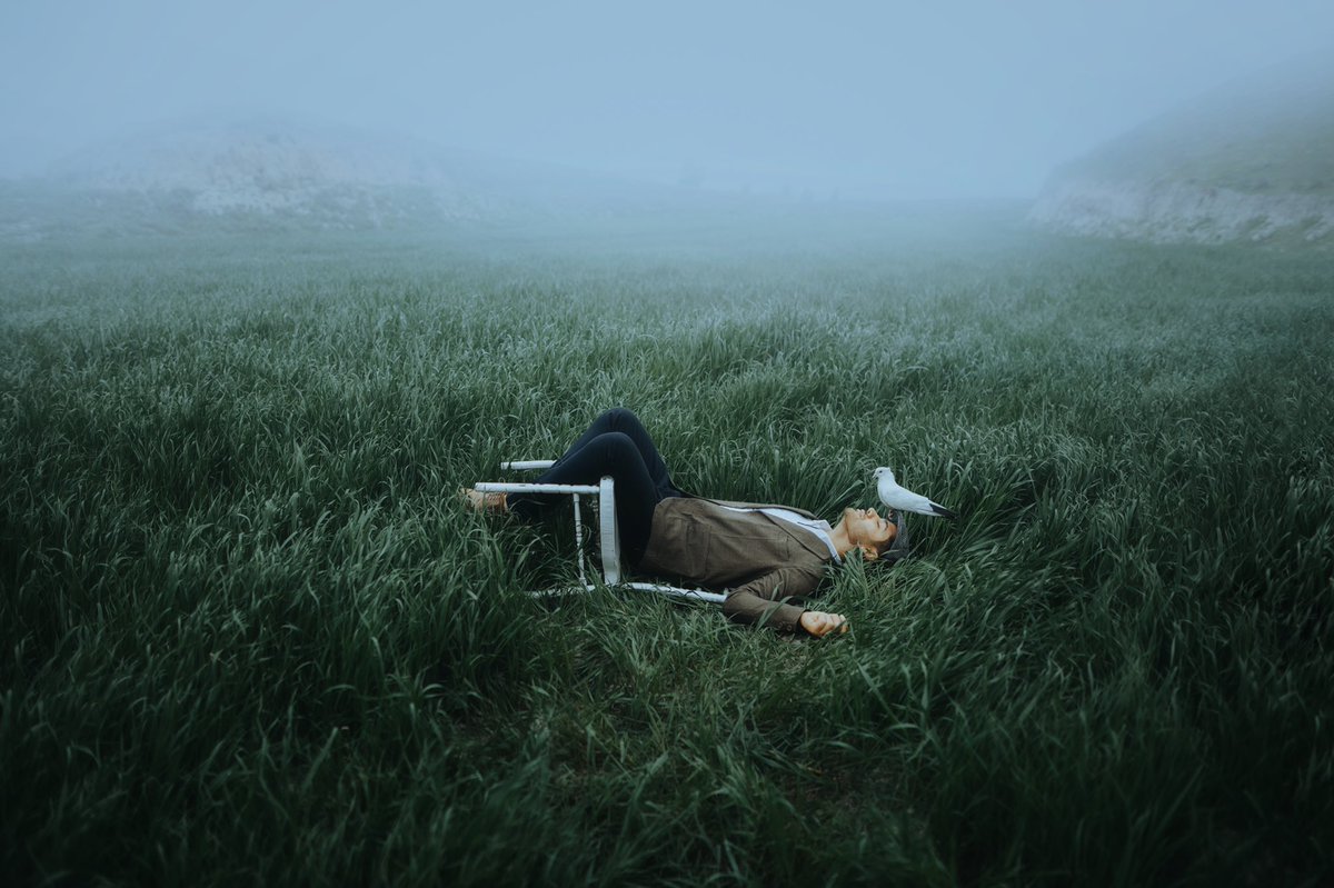 Hossein Goshtasbi🇮🇷 tweet media