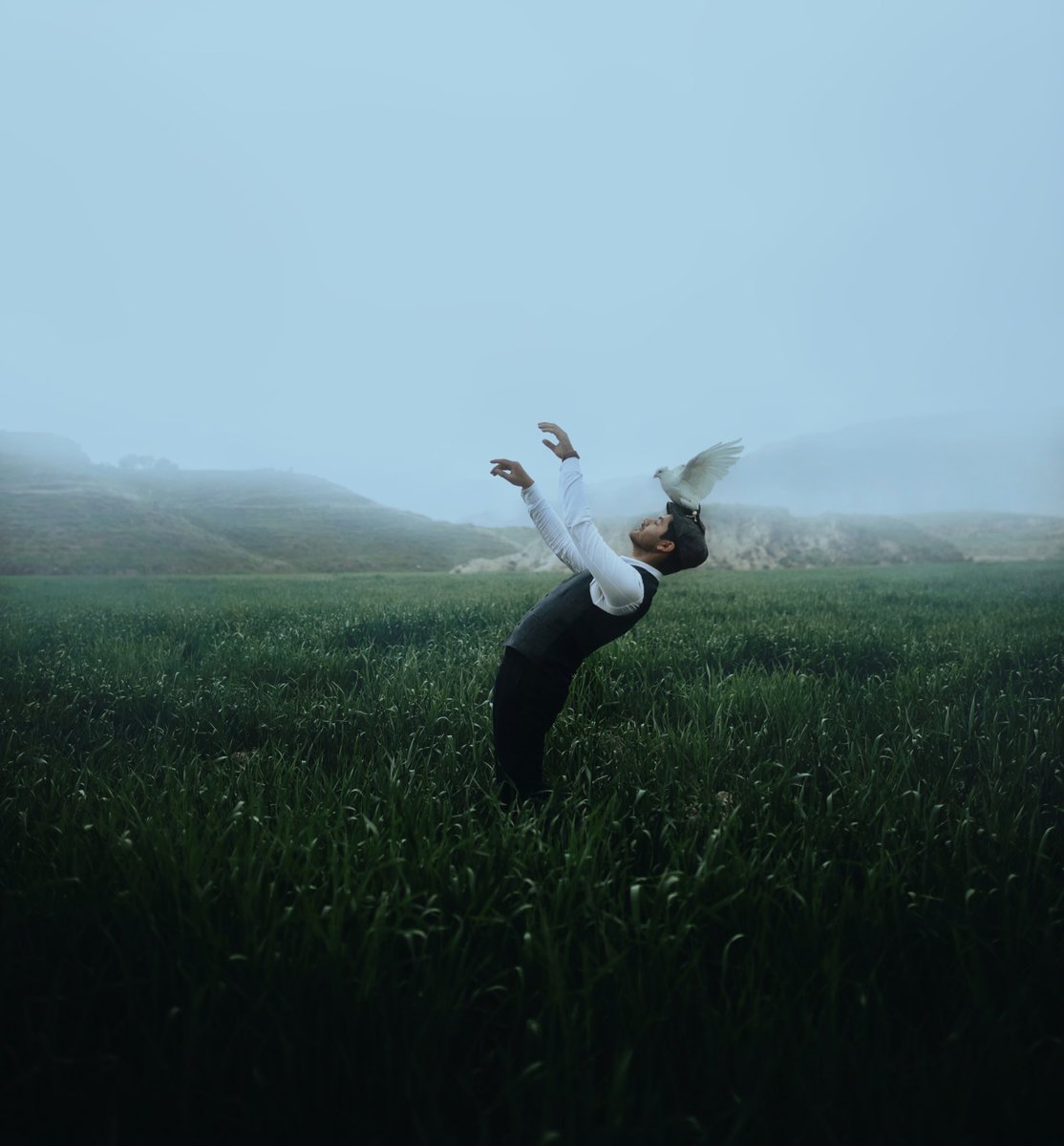 Hossein Goshtasbi🇮🇷 tweet media