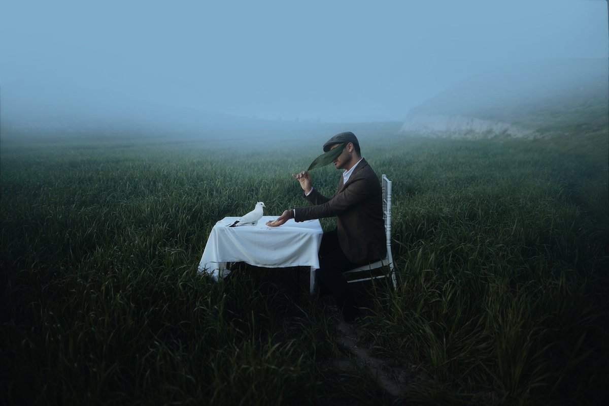 Hossein Goshtasbi🇮🇷 tweet media