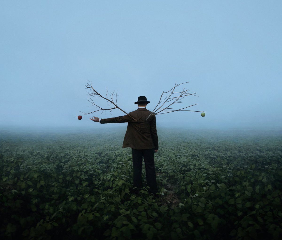 Hossein Goshtasbi🇮🇷 tweet media