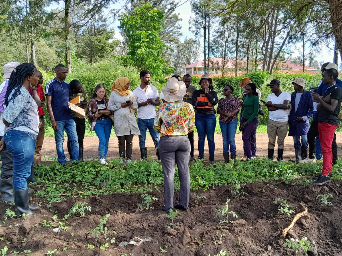 The Ongoing #Tropical #Pests and #Diseases Course! 
We visited a Rice Farm in Mwea. Very interesting for the #students to EXPERIENCE #rice #nematodes.